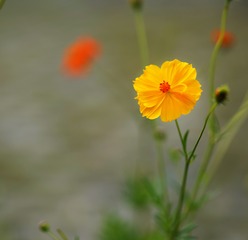 100655