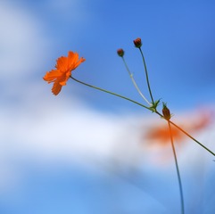 100622
