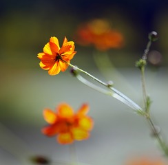 100653