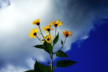 1601444