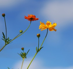 100623