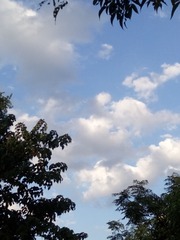 2618593