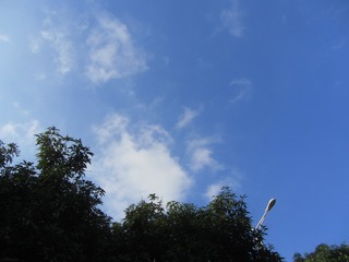D0A2F00A-55B2-4BBD-A9D0-15DBA03D4270/L0/001