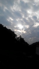 1130021