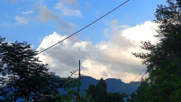 4450882