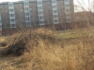 204240
