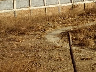204231
