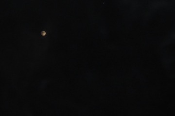 398637