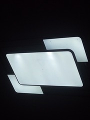 1205806