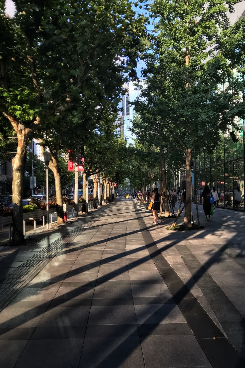 《静安区中心区》系列