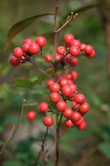 BB3EE868-98A2-410D-858B-7847CA0E30F0/L0/001
