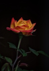 001