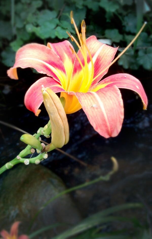 IMG_20120628_165023fb<br />
故乡的，我想永葆她的青春