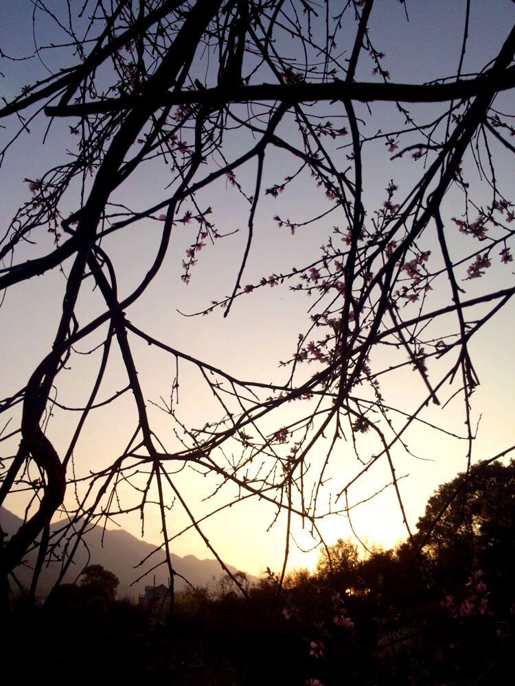 IMG_20130318_175405<br />
故乡的，我想永葆她的青春
