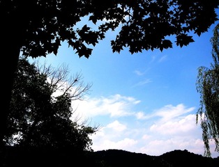 R0016177.jpg