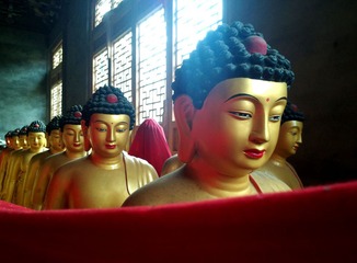 IMG_20130603_163933.jpg