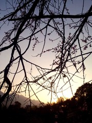 IMG_20130318_175405.jpg