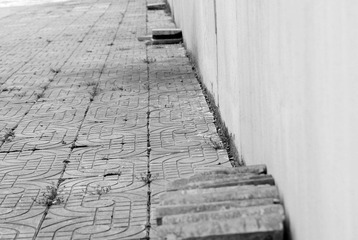 _DSC0050.jpg