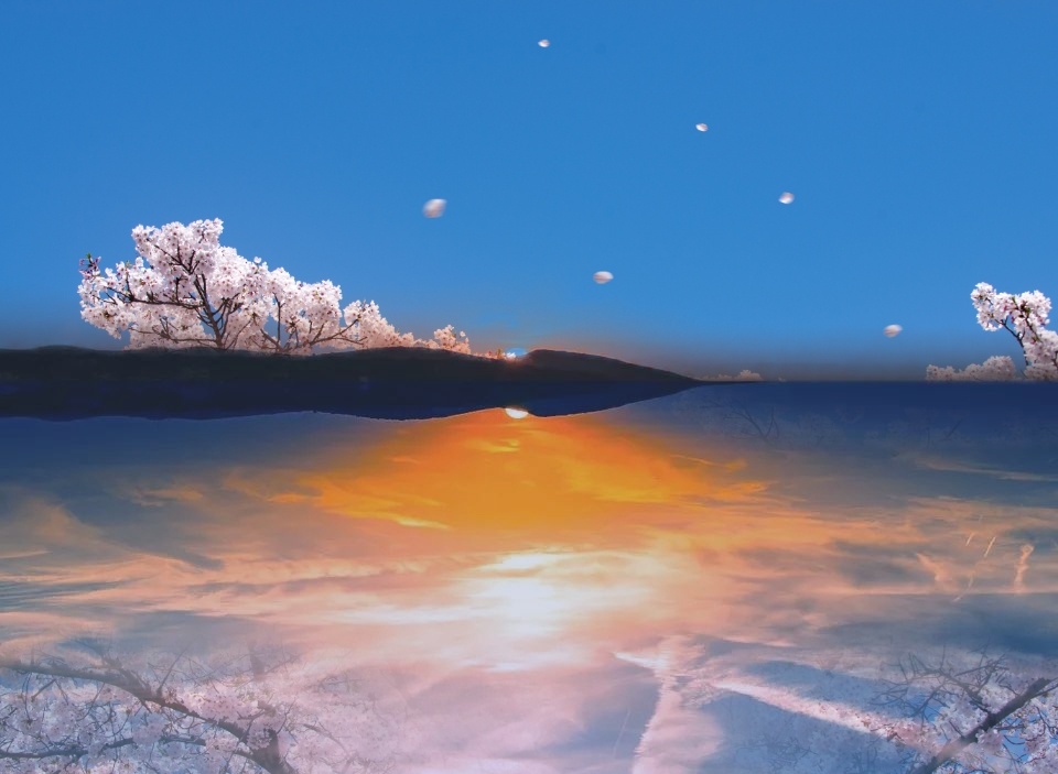 星空之美樱花树下等你回来