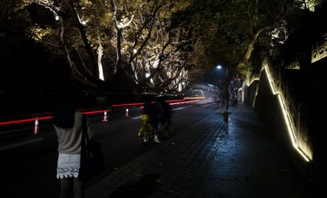 DSC_3100.jpg