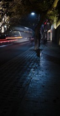 DSC_3100-1.jpg