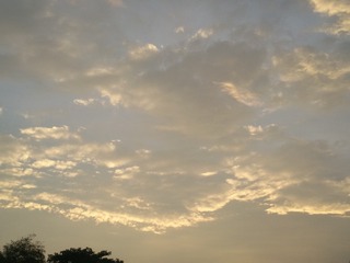 1256224