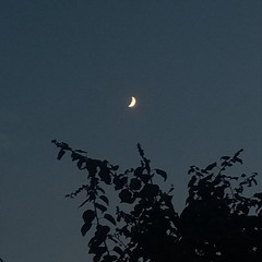 1357164
