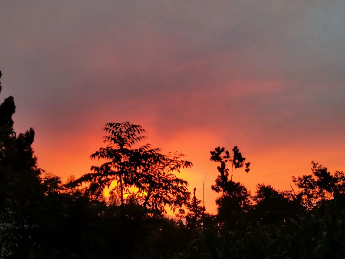 橘红色的天空是今晚的星星要出嫁