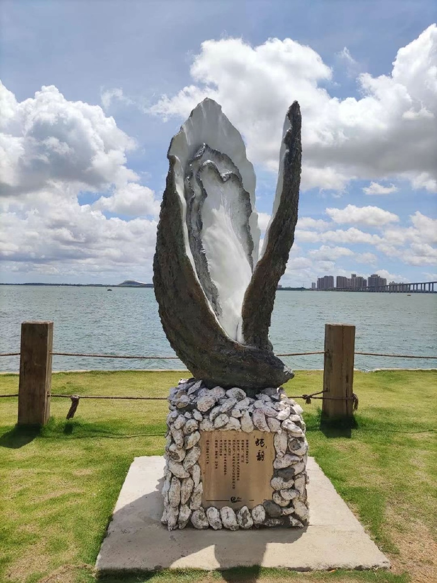 湛江生蚝04超级大只