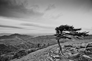 IMG_8796.jpg