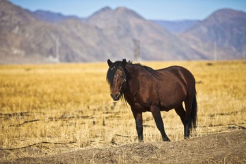 IMG_5635.jpg
