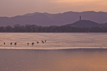 yiheyuan_3.jpg