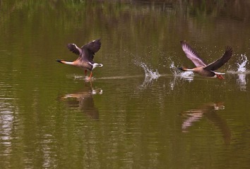 IMG_5632-2