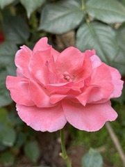 F27BFA02-723E-4E60-98B3-5F1B63EA4510/L0/001