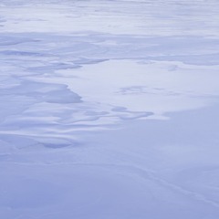 82593E24-1B93-4440-8969-C13D2284B063/L0/001