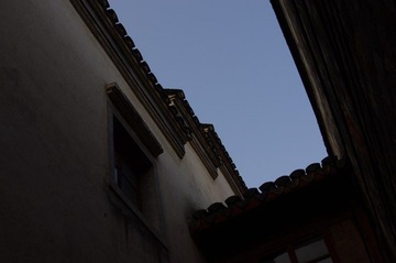 IMGP0731_1.jpg