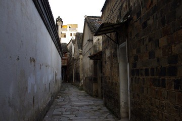 IMGP0739_1.jpg