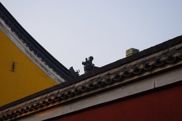 IMGP0779_1.jpg