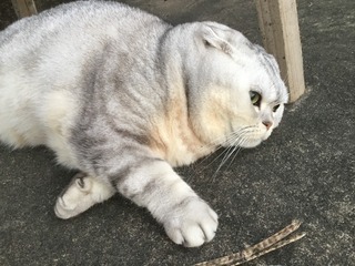 649587