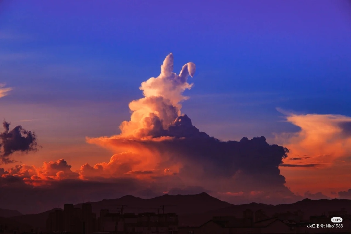 可爱的小兔兔坐在云朵上