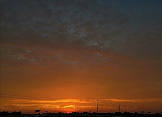 119705