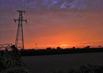 119706