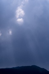 6D425523-98F2-4083-84AA-47A402E9754E/L0/001