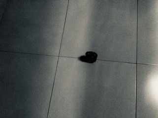 D0D5C731-6E2E-4735-950A-2B2D0206C9FA/L0/001