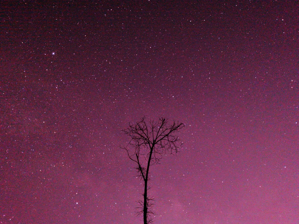 凌晨四点的星空