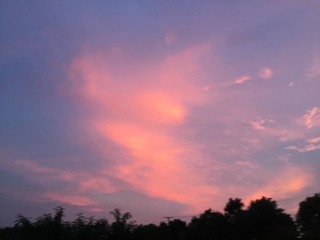 48E67886-C148-4B84-AD9E-319425D5E2E0/L0/001