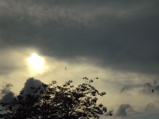 1630042