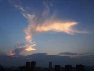 F768A95F-5613-4815-9787-3EC35CD9A880/L0/001