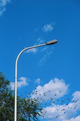 1C42BFB0-B655-4FEC-A9DC-CADD3BD62DDD/L0/001