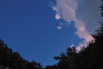 2972A7FE-FDD0-4E81-90EF-CD1B3AECF138/L0/001